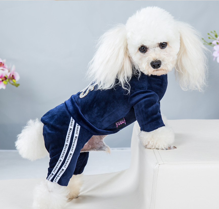 Pet Velvet Jumpsuit Athletic Hoodie with Rhinestone Design